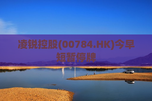 凌锐控股(00784.HK)今早短暂停牌