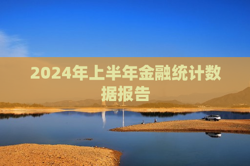 2024年上半年金融统计数据报告