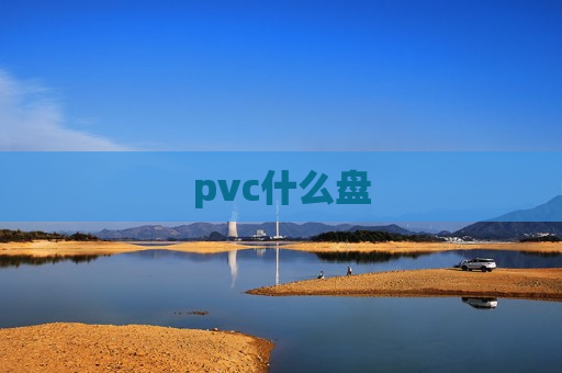 pvc什么盘