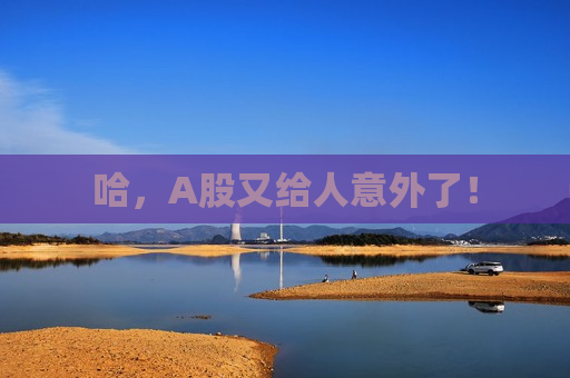 哈，A股又给人意外了！  第1张