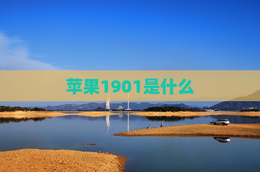 苹果1901是什么