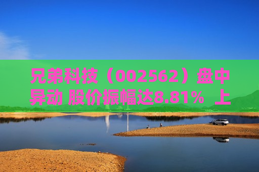 兄弟科技（002562）盘中异动 股价振幅达8.81%  上涨8.18%（07-19） 第1张