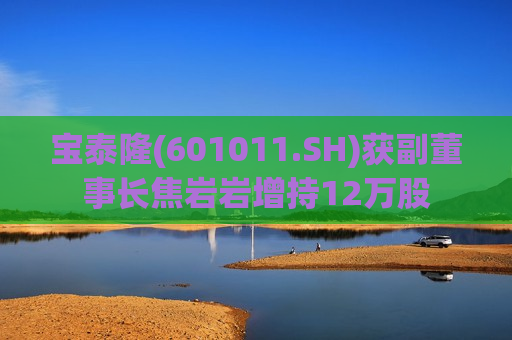 宝泰隆(601011.SH)获副董事长焦岩岩增持12万股