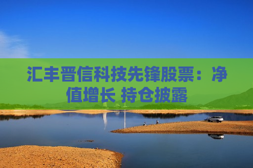 汇丰晋信科技先锋股票：净值增长 持仓披露