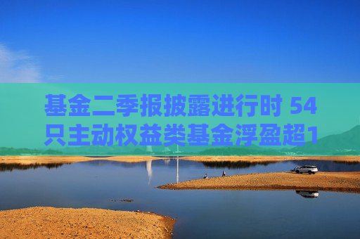 基金二季报披露进行时 54只主动权益类基金浮盈超10%  第1张