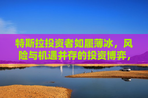 特斯拉投资者如履薄冰，风险与机遇并存的投资博弈，特斯拉投资风云，风险与机遇并存，特斯拉投资风云，风险与机遇并存