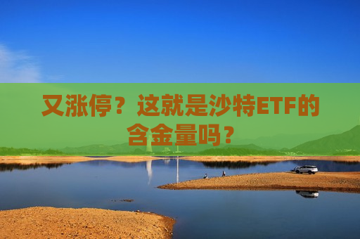 又涨停？这就是沙特ETF的含金量吗？