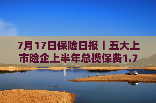7月17日保险日报丨五大上市险企上半年总揽保费1.76万亿元，上半年49家险企“一二把手”变阵