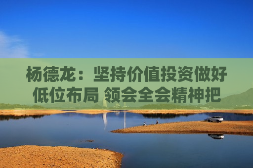 杨德龙：坚持价值投资做好低位布局 领会全会精神把握未来方向  第1张