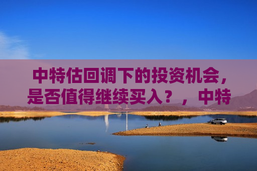 中特估回调下的投资机会，是否值得继续买入？，中特估回调后的投资机会，是否应继续增持？，中特估回调后的投资机会探讨，是否值得继续增持？  第1张
