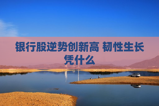 银行股逆势创新高 韧性生长凭什么