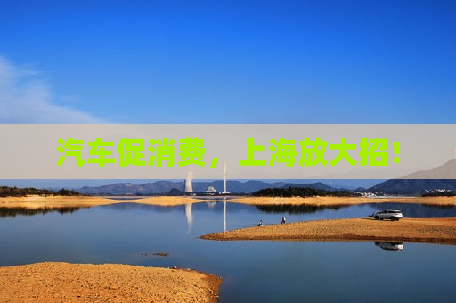 汽车促消费，上海放大招！