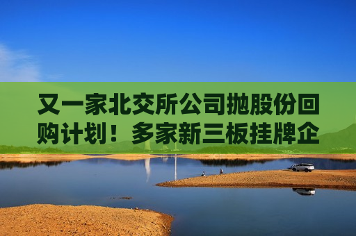 又一家北交所公司抛股份回购计划！多家新三板挂牌企业也实施回购