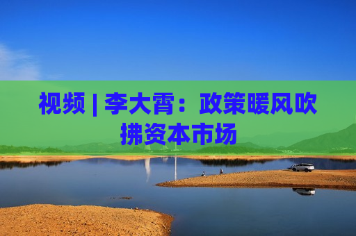 视频 | 李大霄：政策暖风吹拂资本市场  第1张
