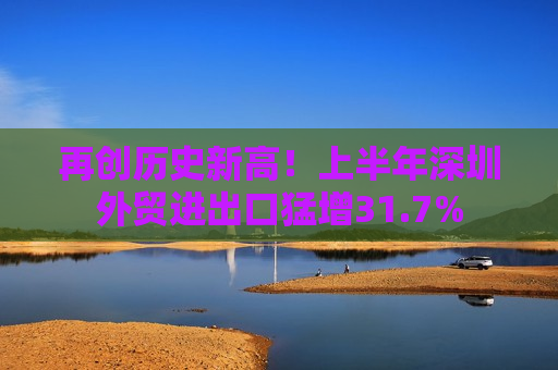 再创历史新高！上半年深圳外贸进出口猛增31.7%