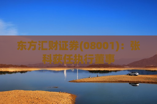 东方汇财证券(08001)：张科获任执行董事