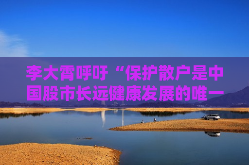 李大霄呼吁“保护散户是中国股市长远健康发展的唯一出路”