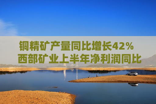 铜精矿产量同比增长42%  西部矿业上半年净利润同比增长约8%
