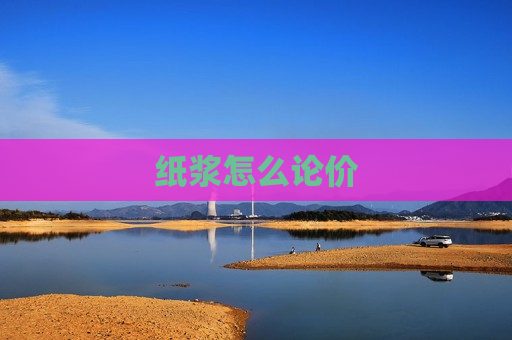 纸浆怎么论价