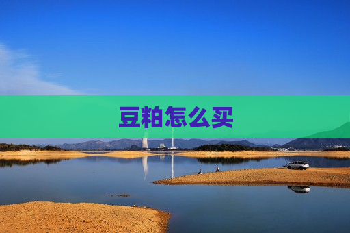 豆粕怎么买