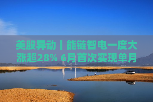 美股异动丨能链智电一度大涨超28% 6月首次实现单月经营侧净利润转正 目标三四季度持续盈利