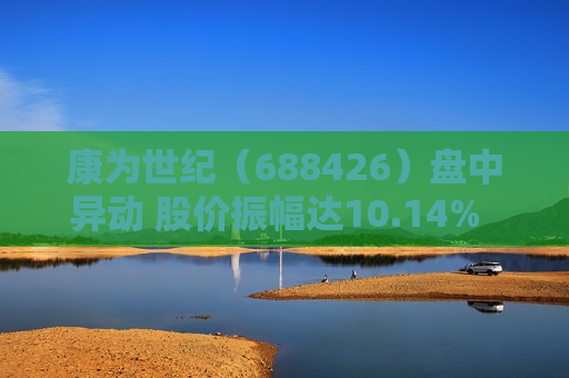 康为世纪（688426）盘中异动 股价振幅达10.14%  上涨7.02%（07-25）