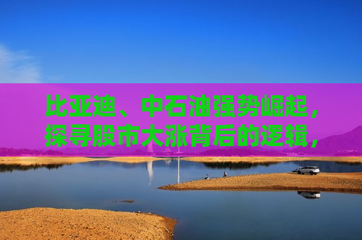 比亚迪、中石油强势崛起，探寻股市大涨背后的逻辑，比亚迪、中石油强势崛起，股市大涨背后的逻辑揭秘，比亚迪、中石油强势崛起，股市大涨背后的逻辑揭秘  第1张