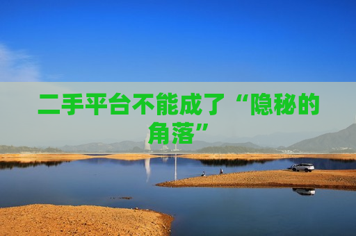 二手平台不能成了“隐秘的角落”  第1张