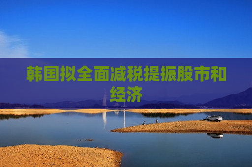 韩国拟全面减税提振股市和经济  第1张