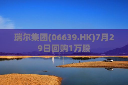 瑞尔集团(06639.HK)7月29日回购1万股  第1张