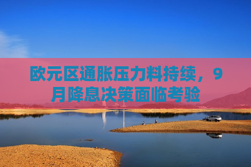 欧元区通胀压力料持续，9月降息决策面临考验