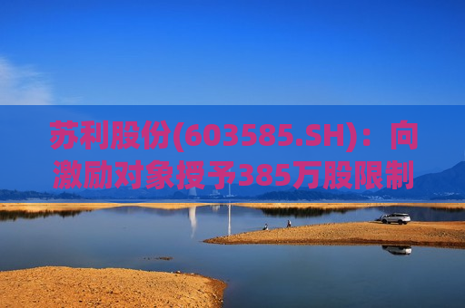 苏利股份(603585.SH)：向激励对象授予385万股限制性股票  第1张