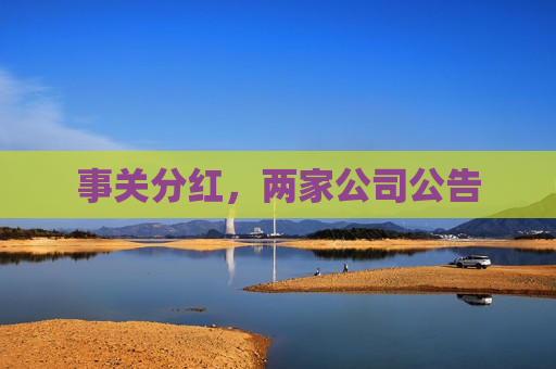 事关分红，两家公司公告  第1张