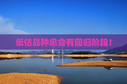 低估品种总会有回归阶段！