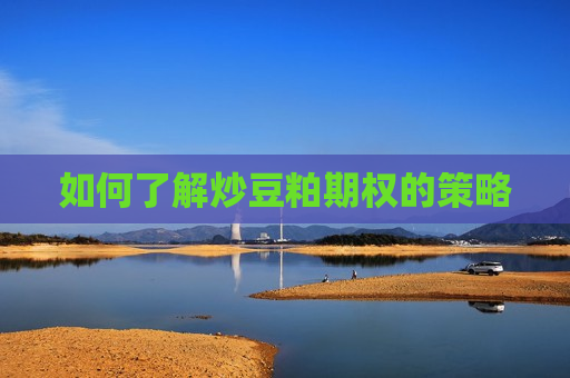 如何了解炒豆粕期权的策略