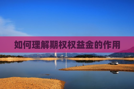 如何理解期权权益金的作用
