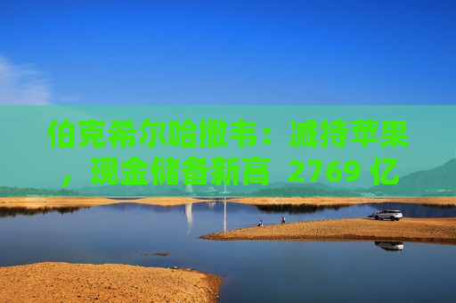 伯克希尔哈撒韦：减持苹果，现金储备新高  2769 亿