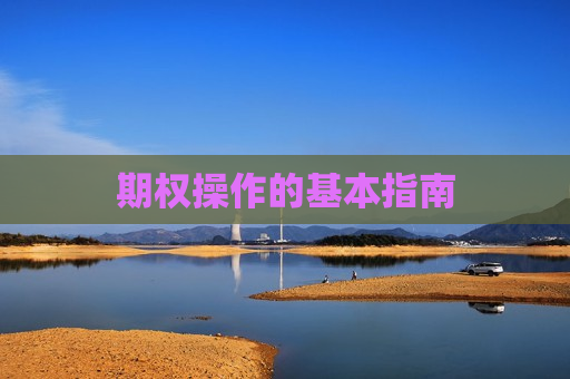 期权操作的基本指南