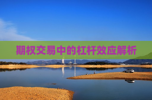 期权交易中的杠杆效应解析  第1张