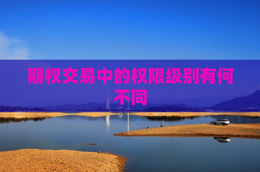 期权交易中的权限级别有何不同