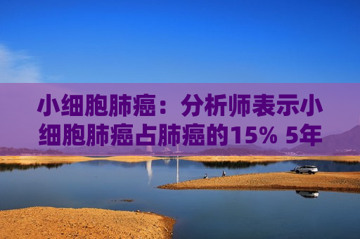 小细胞肺癌：分析师表示小细胞肺癌占肺癌的15% 5年生存率仅为15%  第1张