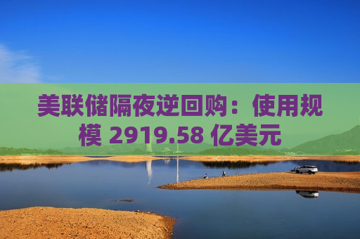 美联储隔夜逆回购：使用规模 2919.58 亿美元