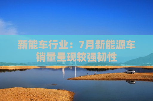 新能车行业：7月新能源车销量呈现较强韧性