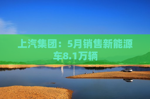 上汽集团：5月销售新能源车8.1万辆