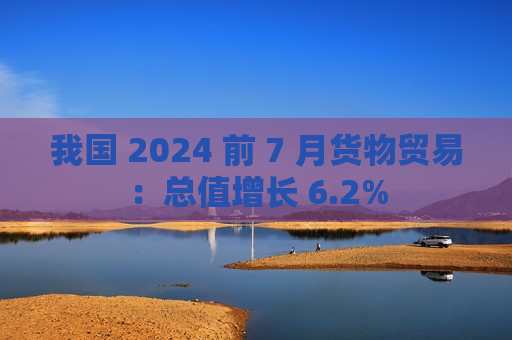我国 2024 前 7 月货物贸易：总值增长 6.2%