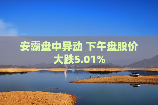 安霸盘中异动 下午盘股价大跌5.01%