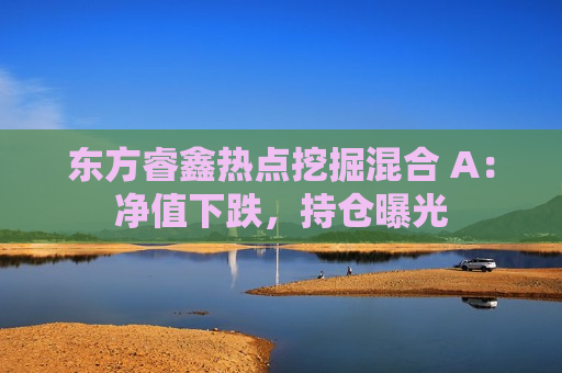 东方睿鑫热点挖掘混合 A:净值下跌,持仓曝光 第1张 东方睿鑫热点挖掘混合 A:净值下跌,持仓曝光 第1张