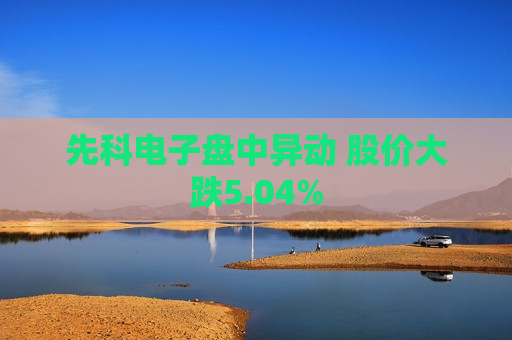 先科电子盘中异动 股价大跌5.04%  第1张
