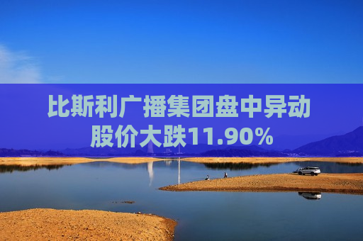 比斯利广播集团盘中异动 股价大跌11.90%