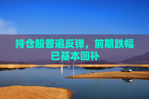 持仓股普遍反弹，前期跌幅已基本回补